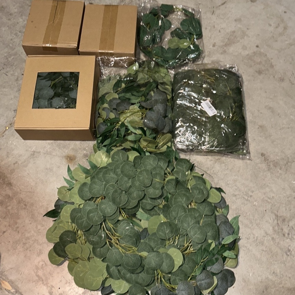 Eucalyptus leaves and vines